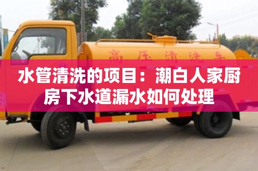 水管清洗的項目：潮白人家廚房下水道漏水如何處理