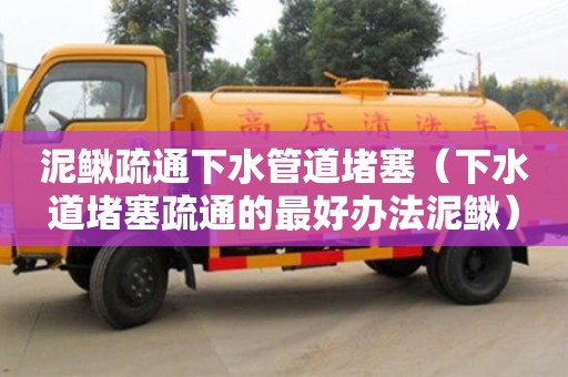 泥鰍疏通下水管道堵塞（下水道堵塞疏通的最好辦法泥鰍）