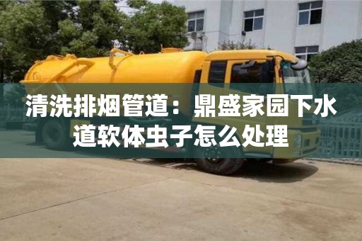 清洗排煙管道：鼎盛家園下水道軟體蟲子怎么處理