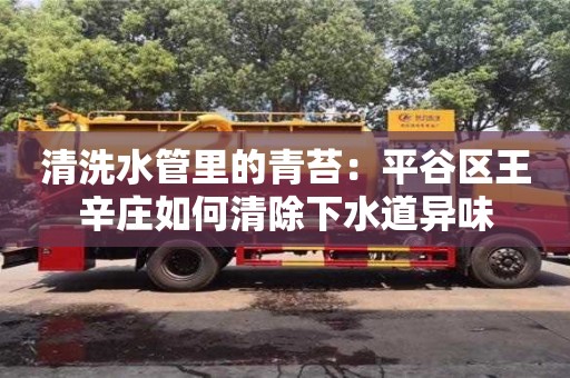 北京清洗水管里的青苔：平谷區王辛莊如何清除下水道異味