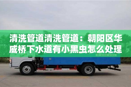 紹興清洗管道清洗管道：朝陽區華威橋下水道有小黑蟲怎么處理