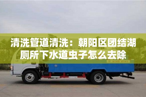 天津清洗管道清洗：朝陽區團結湖廁所下水道蟲子怎么去除