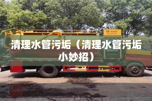 北京清理水管污垢（清理水管污垢小妙招）