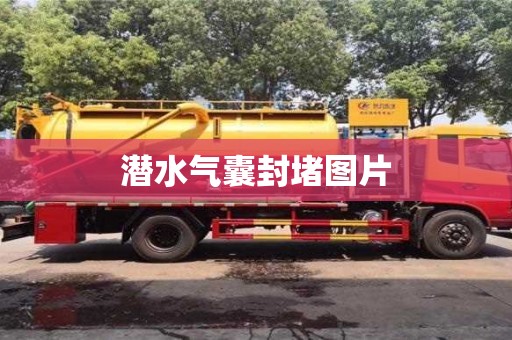 潛水氣囊封堵圖片