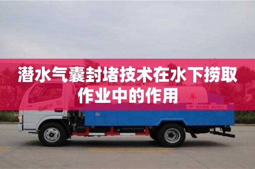 北京潛水氣囊封堵技術在水下撈取作業中的作用