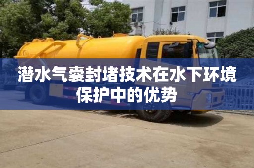 北京潛水氣囊封堵技術在水下環境保護中的優勢