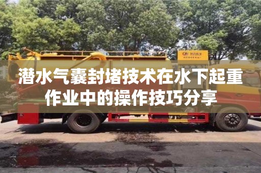北京潛水氣囊封堵技術在水下起重作業中的操作技巧分享
