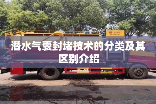 北京潛水氣囊封堵技術的分類及其區別介紹