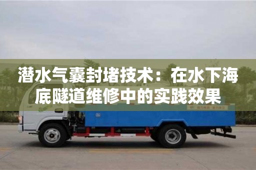 北京潛水氣囊封堵技術：在水下海底隧道維修中的實踐效果