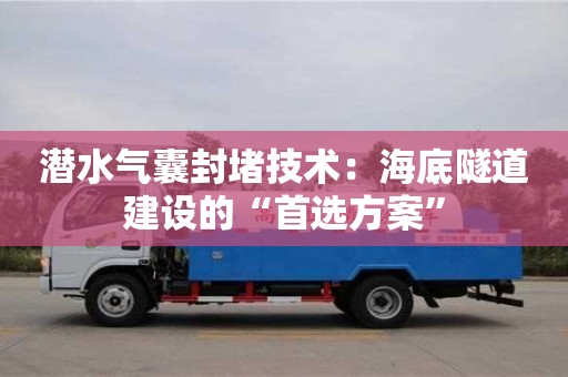 紹興潛水氣囊封堵技術(shù)：海底隧道建設(shè)的“首選方案”