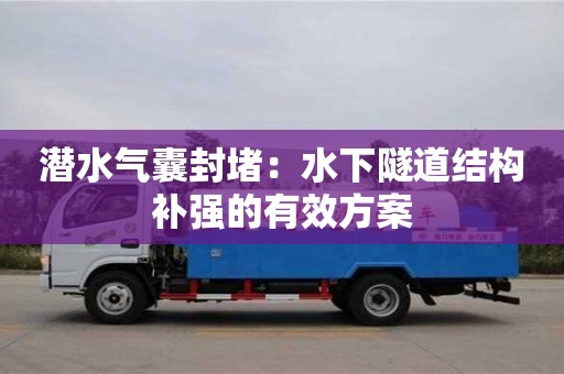 北京潛水氣囊封堵：水下隧道結構補強的有效方案