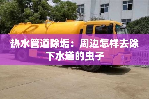 天津熱水管道除垢：周邊怎樣去除下水道的蟲子