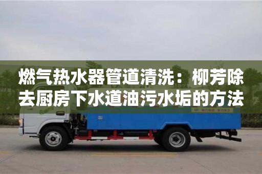 燃氣熱水器管道清洗：柳芳除去廚房下水道油污水垢的方法