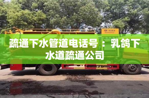 北京疏通下水管道電話號 ：乳鴿下水道疏通公司