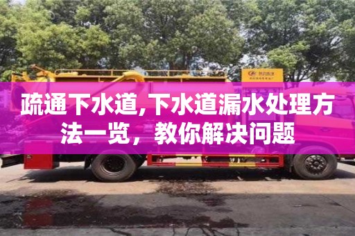 疏通下水道,下水道漏水處理方法一覽，教你解決問題