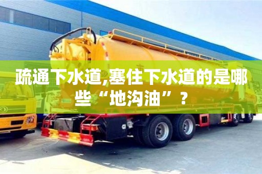 紹興疏通下水道,塞住下水道的是哪些“地溝油”？