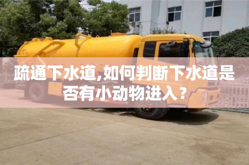 北京疏通下水道,如何判斷下水道是否有小動物進入？