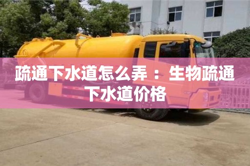 寧波疏通下水道怎么弄 ：生物疏通下水道價格