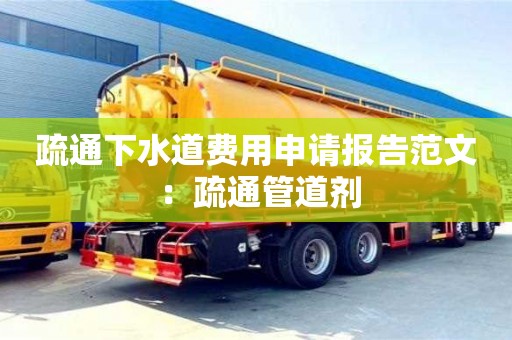 天津疏通下水道費用申請報告范文 ：疏通管道劑