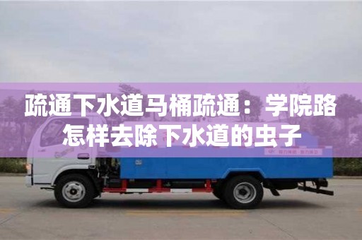 北京疏通下水道馬桶疏通：學院路怎樣去除下水道的蟲子