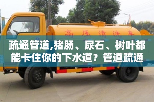 疏通管道,豬腸、尿石、樹葉都能卡住你的下水道？管道疏通幫你輕松搞定