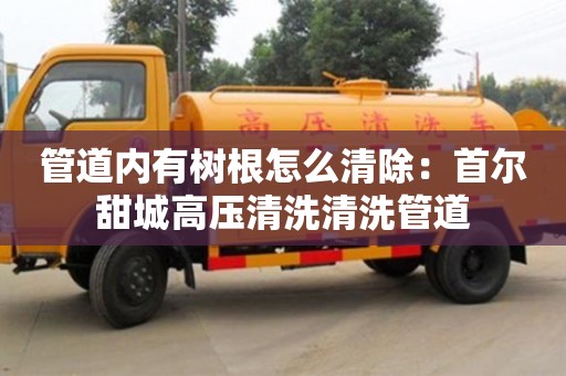 蘇州管道內(nèi)有樹根怎么清除：首爾甜城高壓清洗清洗管道