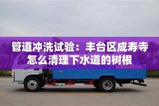 天津管道沖洗試驗(yàn)：豐臺(tái)區(qū)成壽寺怎么清理下水道的樹根