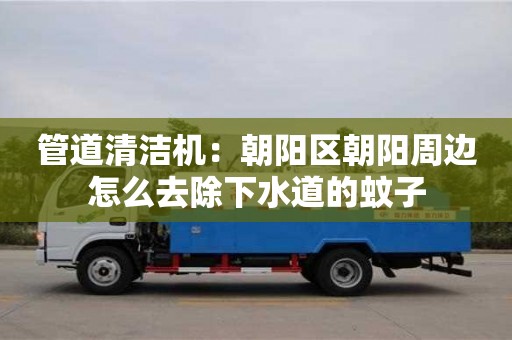 廈門管道清潔機(jī)：朝陽(yáng)區(qū)朝陽(yáng)周邊怎么去除下水道的蚊子