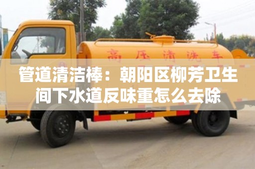 重慶管道清潔棒：朝陽區柳芳衛生間下水道反味重怎么去除