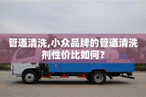 紹興管道清洗,小眾品牌的管道清洗劑性價比如何？