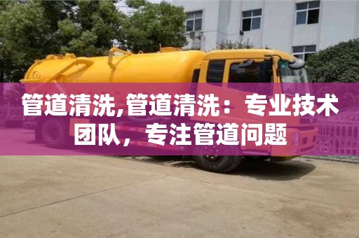 天津管道清洗,管道清洗：專業技術團隊，專注管道問題