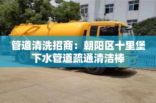 紹興管道清洗招商：朝陽區十里堡下水管道疏通清潔棒