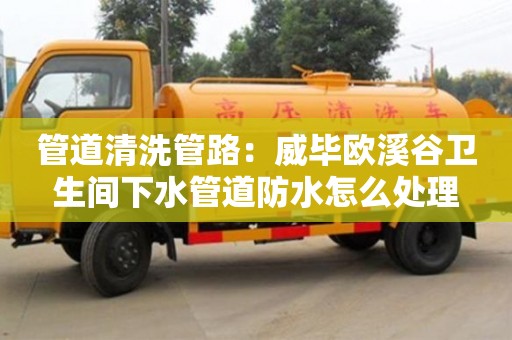 紹興管道清洗管路：威畢歐溪谷衛生間下水管道防水怎么處理