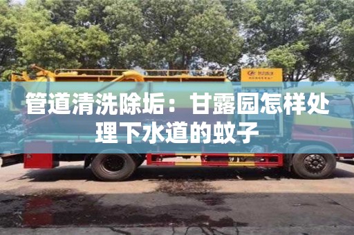 重慶管道清洗除垢：甘露園怎樣處理下水道的蚊子