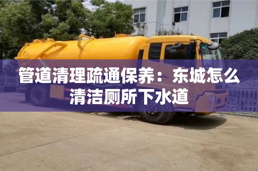 天津管道清理疏通保養：東城怎么清潔廁所下水道