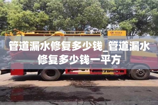 北京管道漏水修復多少錢_管道漏水修復多少錢一平方