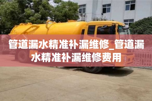 寧波管道漏水精準補漏維修_管道漏水精準補漏維修費用