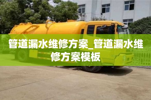 管道漏水維修方案_管道漏水維修方案模板