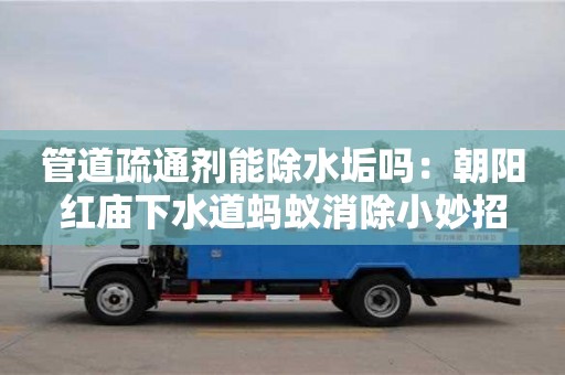 北京管道疏通劑能除水垢嗎：朝陽紅廟下水道螞蟻消除小妙招