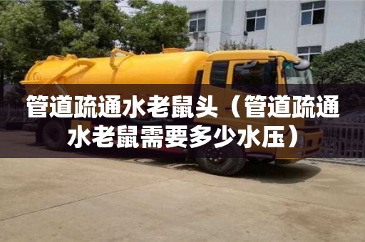 管道疏通水老鼠頭（管道疏通水老鼠需要多少水壓）