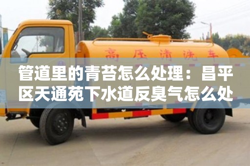 北京管道里的青苔怎么處理：昌平區天通苑下水道反臭氣怎么處理