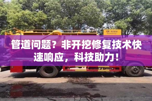 北京管道問題？非開挖修復(fù)技術(shù)快速響應(yīng)，科技助力！