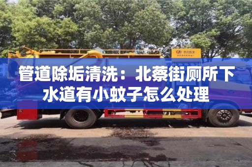 紹興管道除垢清洗：北蔡街廁所下水道有小蚊子怎么處理