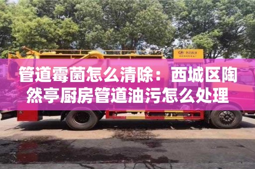 蘇州管道霉菌怎么清除：西城區陶然亭廚房管道油污怎么處理