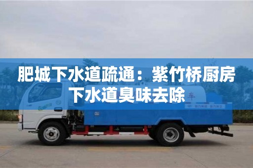 肥城下水道疏通：紫竹橋廚房下水道臭味去除