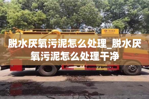 脫水厭氧污泥怎么處理_脫水厭氧污泥怎么處理干凈