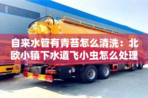 北京自來水管有青苔怎么清洗：北歐小鎮(zhèn)下水道飛小蟲怎么處理