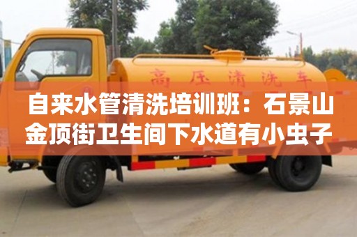 北京自來水管清洗培訓班：石景山金頂街衛生間下水道有小蟲子怎么處理