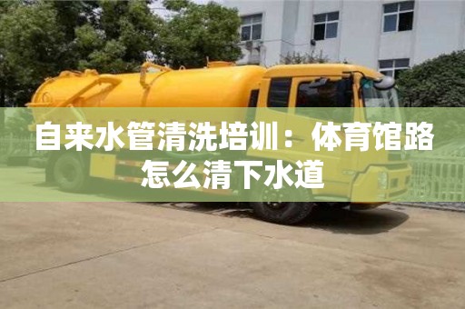 北京自來水管清洗培訓：體育館路怎么清下水道