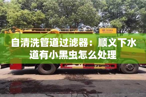 重慶自清洗管道過濾器：順義下水道有小黑蟲怎么處理